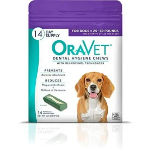 Purina ONE SmartBlend Chicken Rice Dry Dog Food