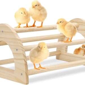 Popetpop Wooden Chicken Roosting Bar – 15.75" x 4.72" x 3.15"​